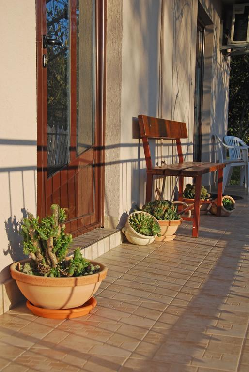 Apartments Iva Tivat Cameră foto